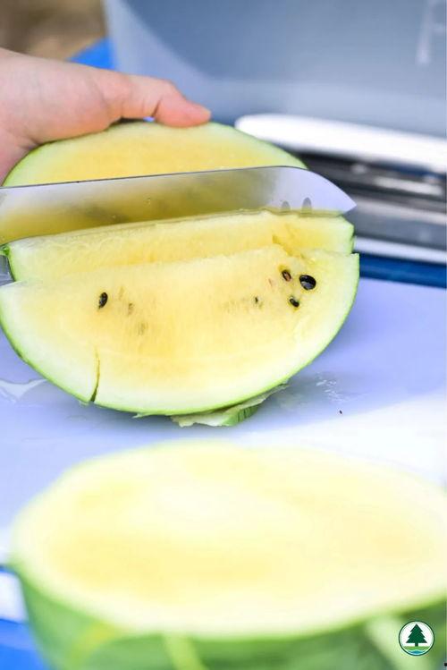 香港网红吃瓜,幕后故事与热门话题盘点  第1张